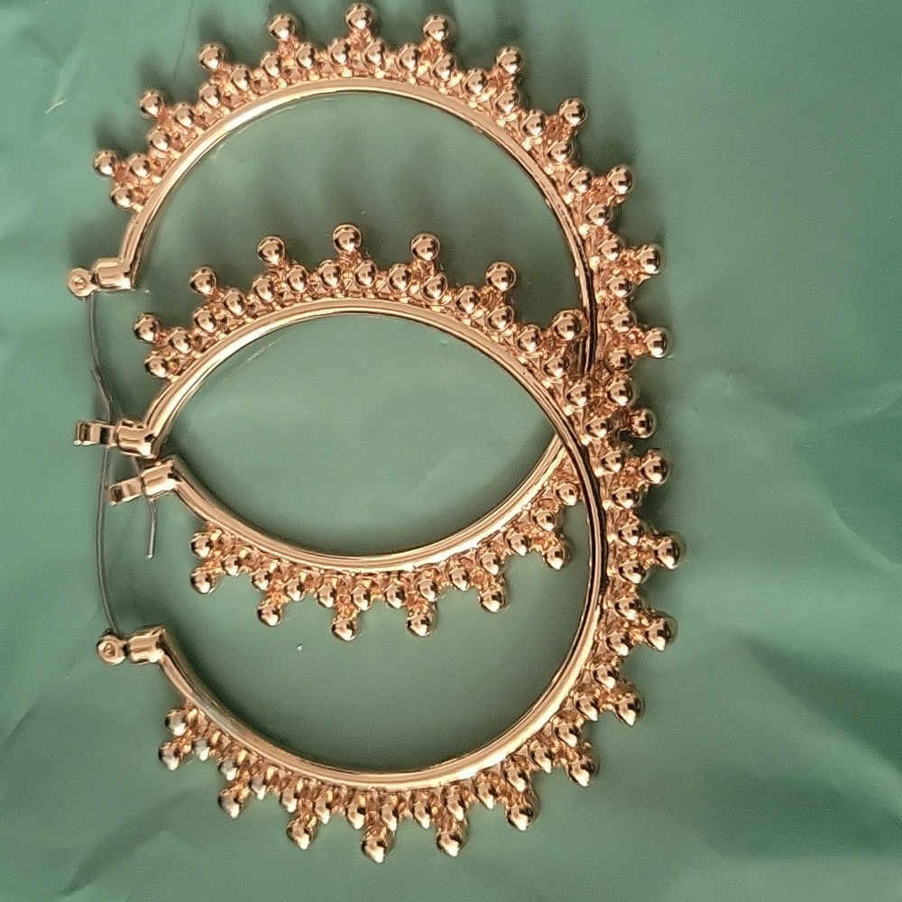 Elegant Gold Hoop Earrings